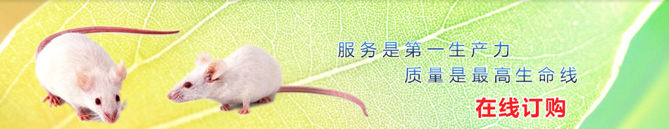 slideshow 1