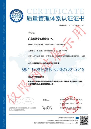 12-ISO_03.jpg