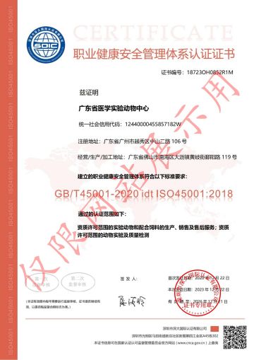 11-ISO_02.jpg